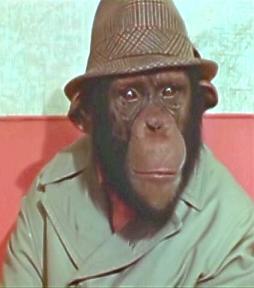 Watch out James Bond, it's the smooth and handsome Lancelot Link: Secret Chimp.